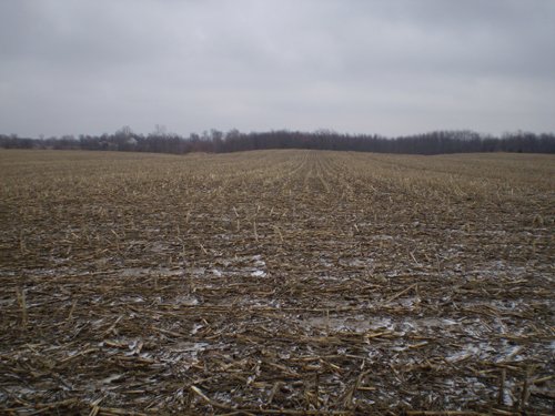 Property photo 6 - 71 Acres Offered in 2 Tracts